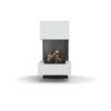 Gaskamin Camina E31 G -Chimney Geschaft Camina E31 G free 1 900x900