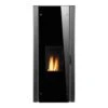 Pelletofen Buderus Logastyle Lamina 9,3 KW Wasserführend -Chimney Geschaft Pelletofen Buderus Logastyle Lamina wasserfuehrend 900x900